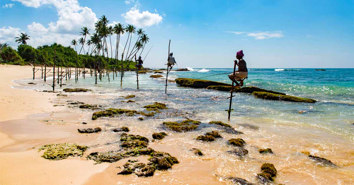Yala National Park | Elephants