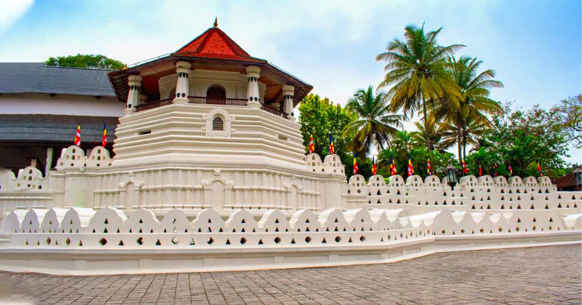 Yala National Park | leopard