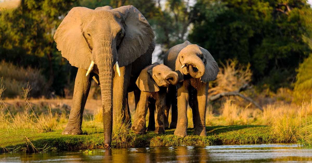 Sri-Lanka-Family-Holidays