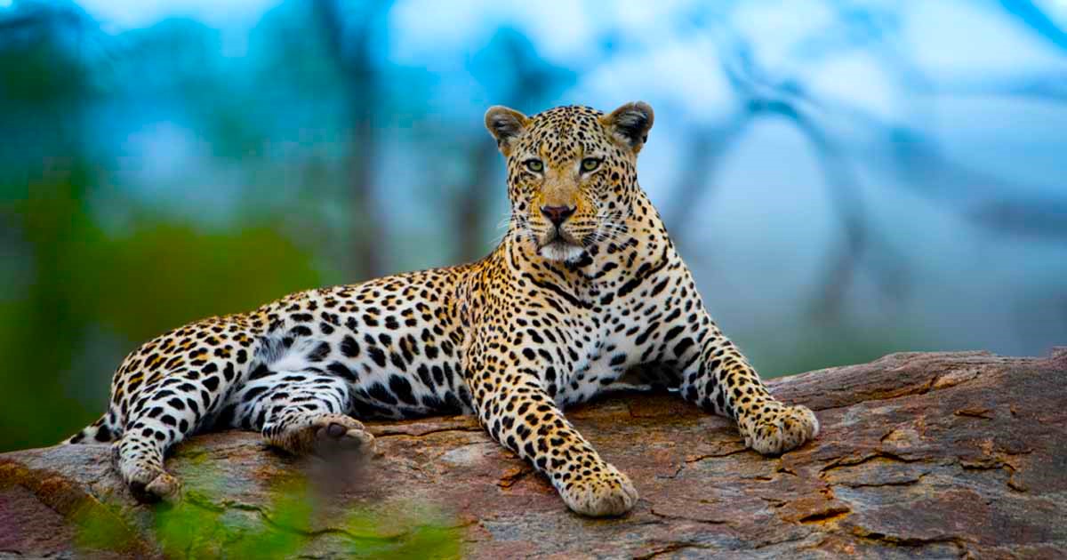 Sri-Lanka-Family-Holidays