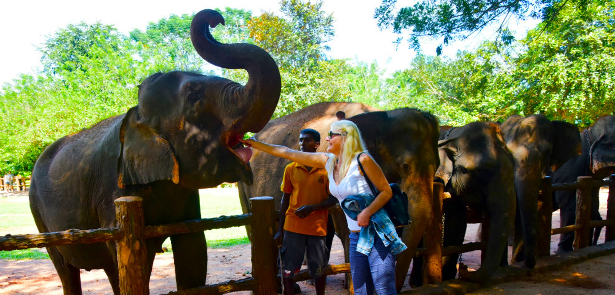 Sri-Lanka-Family-Holidays