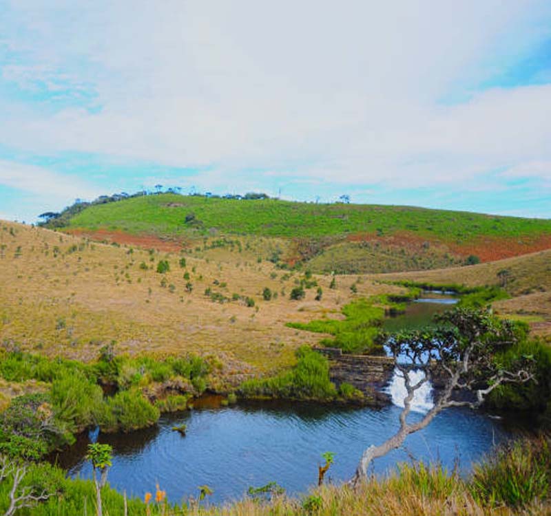 Sri-Lanka-Horton-Plains