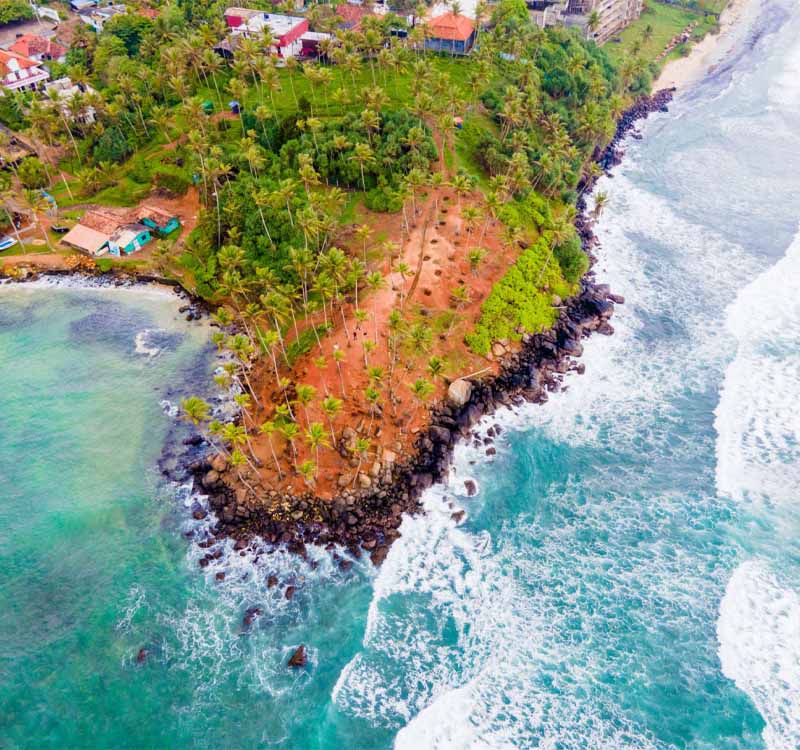 Sri-Lanka-coconut-tree-hill-mirissa