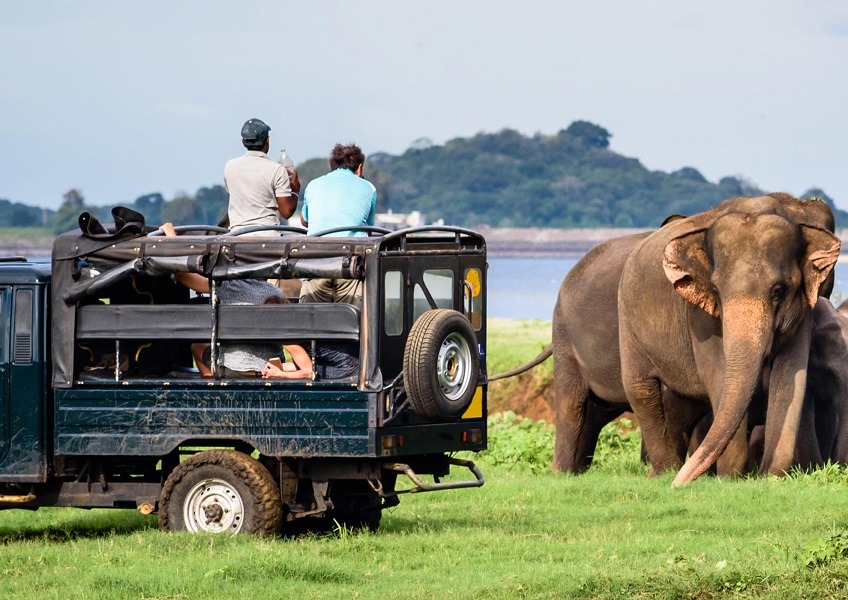 Sri-Lanka-Family-Holidays